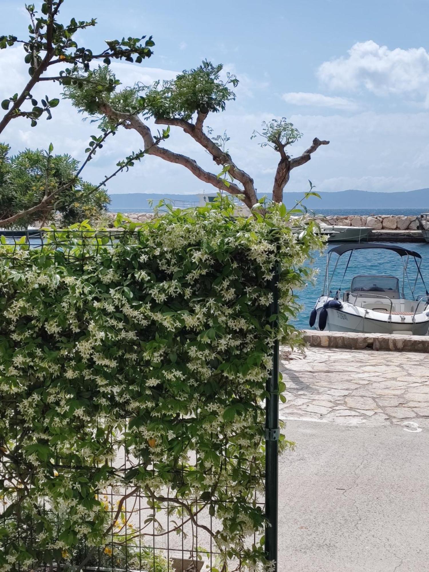 Apartmani Ines Drašnice Extérieur photo